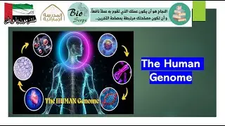 The Human Genome - Part 1