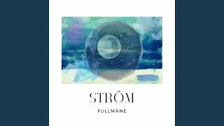 Fullm&aring;ne
