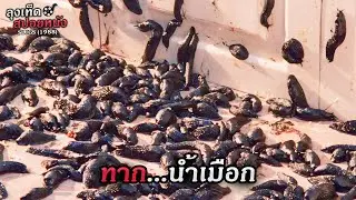 เมืองที่อุดมด้วยทากน้ำเมือก 1 ล้านตัว...เกิดจากขยะเปียกที่หมักหมมในท่อระบายน้ำ Slugs สปอยหนัง