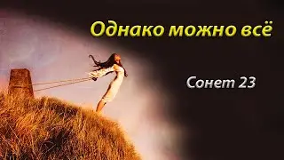 Уильям Шекспир Сонет 23 на русском языке 