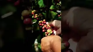 Explore Colombia Like Never Before