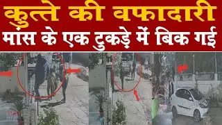 मांस मीट का एक टुकड़ा कुत्ते की वफादारी पर भारी पड़ा 