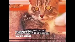 Animal Cops Detroit Ending Credits 4x04