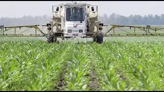 Increased immunity in weeds may threaten U.S. crops