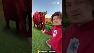 @fixeye показывает ферму брейнротов #sora2 #shorts #fixeye #brrbrrpatapim #strawberryelephants