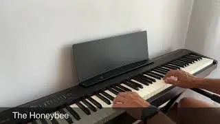 Practicing Piano VLog #2 - The Honeybee