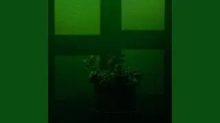 Polymorphic (The Zoomers UK Remix)