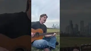 Blue Eyes Crying In The Rain | Willie Nelson #music #country #cover #texas #willienelson #song #sing