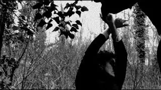 R.Loomes - Song Of The Moth (Official Video)