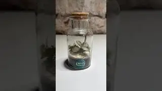 Je kleiner das Biotop, desto pr&auml;ziser muss die Bepflanzung erfolgen. #terrarium #naturart #plants