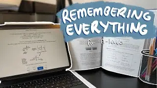 Как я запомнил всё для A-level | Эффективное использование карточек