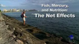 Fish, Mercury & Nutrition: The Net Effects