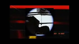 Throwaway (Official Music Video)