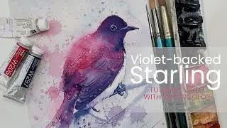 Tutorial video #92 – VIOLET-BACKED STARLING the painting process [time-lapsed]