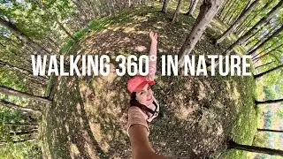 360&deg; Forest Walk in 4K | Relaxing Virtual Nature Experience