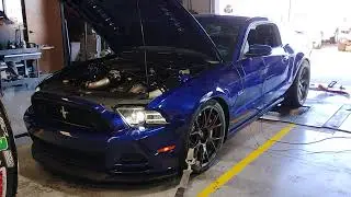 Coyote Mustang Dyno 2025 Part 1; Makes over 800whp