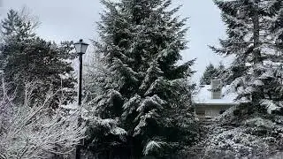 Sanders Family snow day March 2019!!