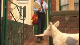 Dog and Duck Scenes