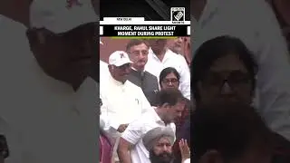 Lok Sabha LoP Rahul Gandhi, Congress&rsquo; Kharge share light moments during &lsquo;Vote Theft&rsquo; protest
