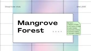 Mangrove Forest Case Study