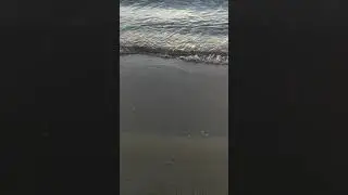 Il mare di Taranto #3