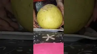 Chakotra / Pomelo&nbsp;Citrus Grapefruit #Pomelo&nbsp;#Chakotra&nbsp;#fruit #exotic  #sour #yt #viral #shorts