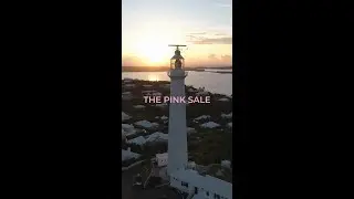 Pink Sale 2025: Save Up to 35% Off | Go To Bermuda