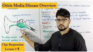 Otitis Media | A respiratory Disorder | Causes, symptoms and treatment