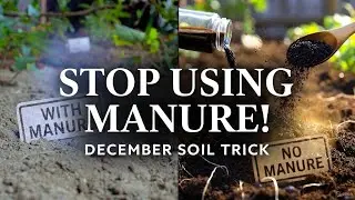 Stop Using Manure! This December Soil Trick Will Triple Your Harvest Naturally! #soilhealth #seedly