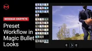 Preset Workflow in Magic Bullet Looks