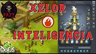 [DOFUS] 🔥 XELOR -  SETS DE INTELIGENCIA - KOLISEO 3V3 🔥