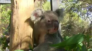 Palm Beach Zoo: Your FAVE Staycation, Vacation, Destination!