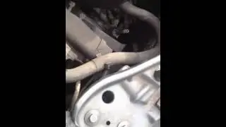65946
