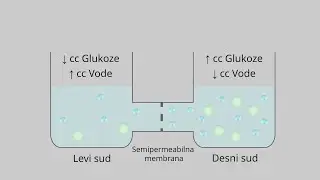 Osmoza: osnovni mehanizmi difzije vode