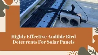 Audible Bird Deterrents To Keep Birds Off Solar Panels & Roofs
