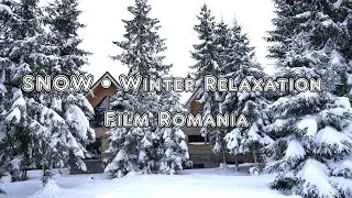 SNOW &bull; Winter Relaxation Film Romania - Peaceful Relaxing Music - Nature 4k Video