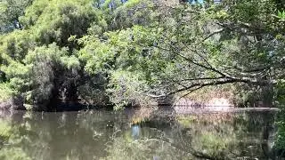 Nature unlocks calm, and calm leads to success 