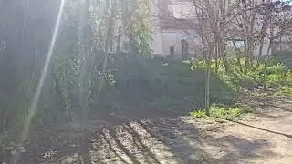 12 de enero de 2026