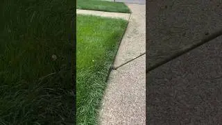 Relax to some edging #lawncare #oddlysatisfying #asmr #thatlawndude