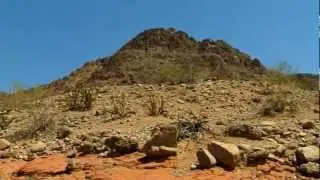 Sonoran Desert Heritage on This American Land