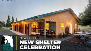 New Shelter Celebration || FieldHaven Feline Center