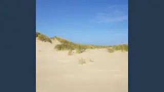 楼兰梦