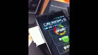PHYCHIPS