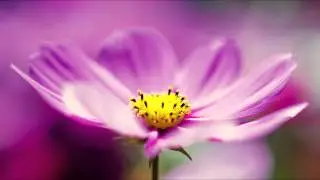 Electro & House 2013 Summer Dance Mix #3