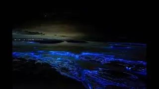 밤바다(Prod.MorningBoy)