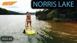 Paddle Boarding And Exploring The Best Lake In Tennessee - Norris Lake || 2022-64