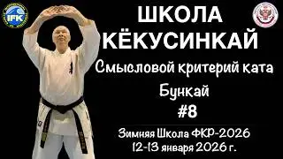 Кёкусинкай / Смысловой критерий ката / Бункай / Сихан Фомин В.П. (8)