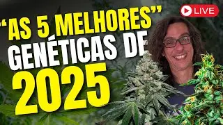 GENÉTICAS DE 2025: Conheça As Strains Que Ninguém Tá Falando!