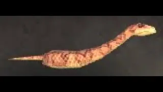 Broken Isles Safari: Slithering Brownscale Battle Pet, Azsuna, WoW Retail