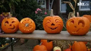 Halloween-K&uuml;rbis selber schnitzen: So geht's!